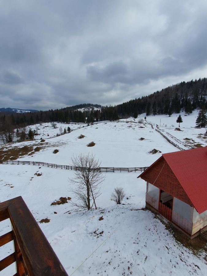 Pensiunea Poarta Lui Ionele Gîrda de Sus Exterior foto