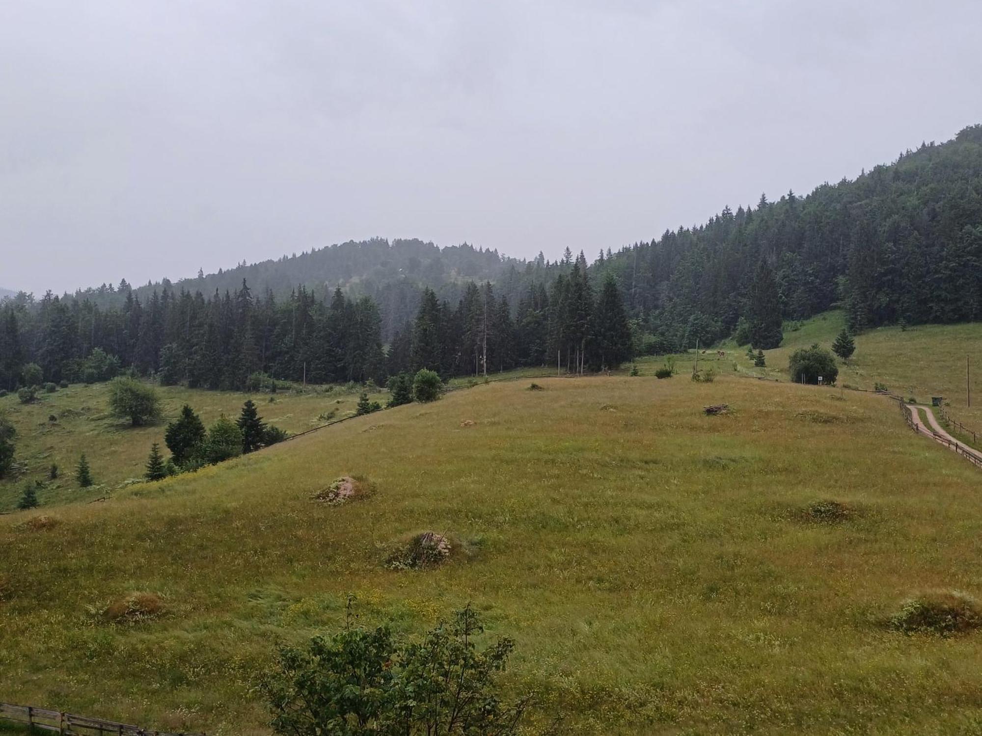 Pensiunea Poarta Lui Ionele Gîrda de Sus Exterior foto