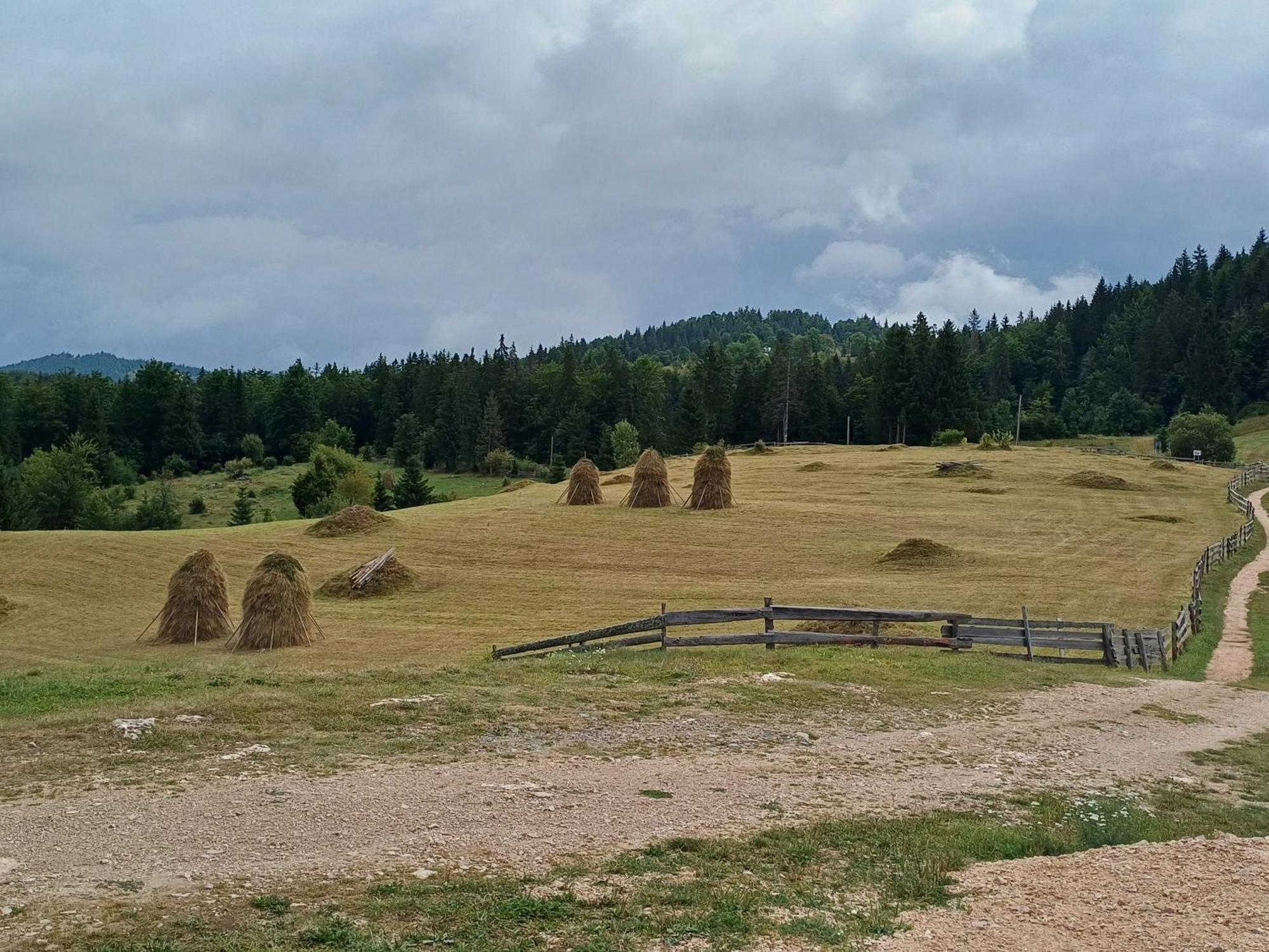 Pensiunea Poarta Lui Ionele Gîrda de Sus Exterior foto