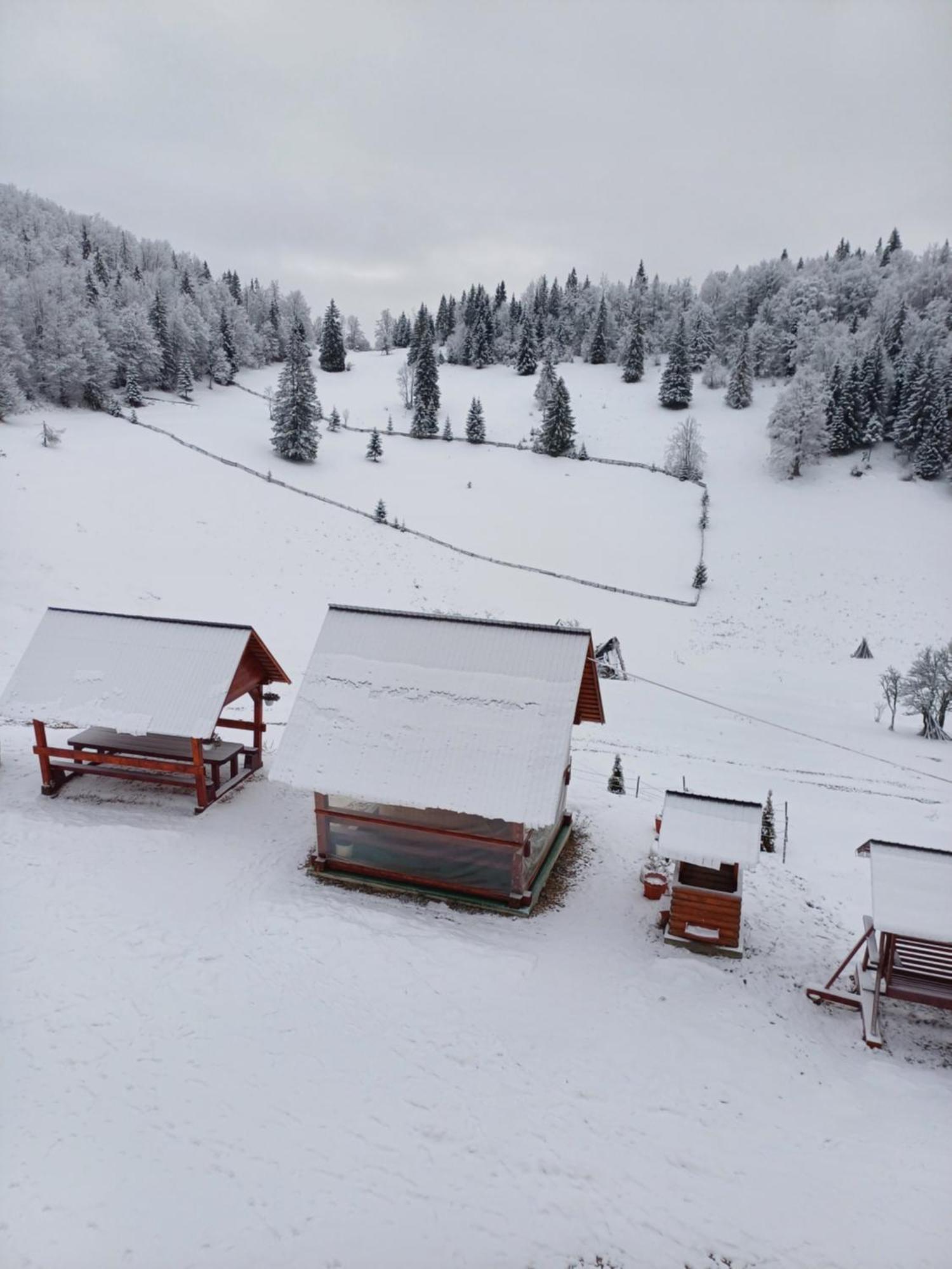 Pensiunea Poarta Lui Ionele Gîrda de Sus Exterior foto